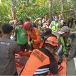 Bulog Yogyakarta Serap Gabah Petani Berbagai Kualitas