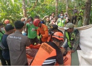 Lansia di Purbalingga Meninggal Saat Memetik Kelapa Setinggi 15 Meter