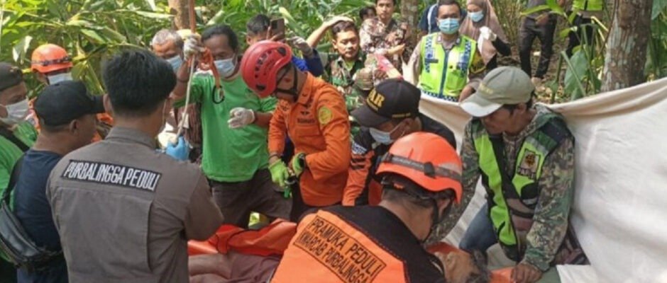 Lansia di Purbalingga Meninggal Saat Memetik Kelapa Setinggi 15 Meter - OkeWarta.com
