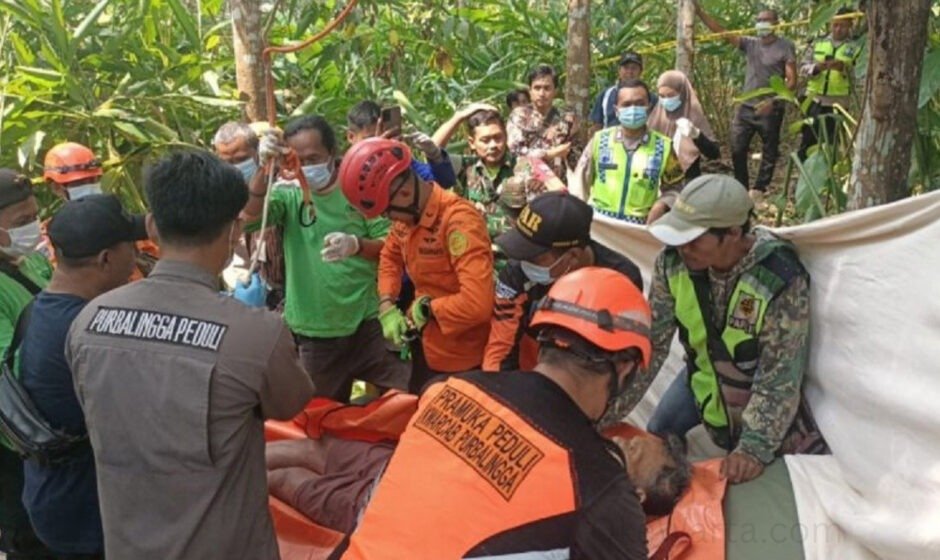 Lansia di Purbalingga Meninggal Saat Memetik Kelapa Setinggi 15 Meter - OkeWarta.com