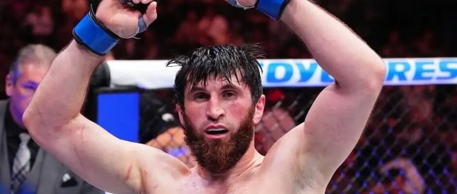 Magomed Ankalaev Bidik Gelar UFC, Siap Hadapi Paulo Costa di Abu Dhabi - OkeWarta.com